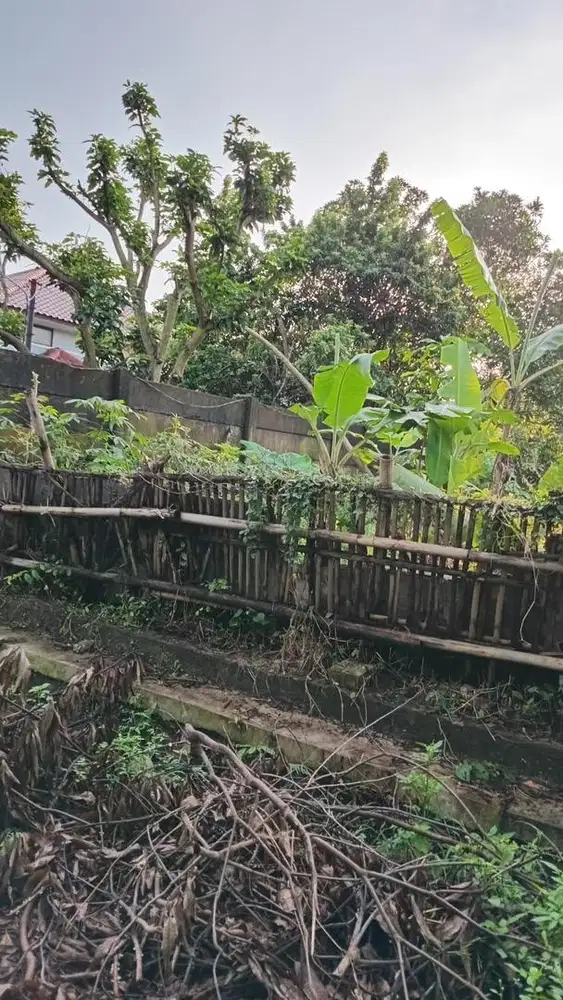 TANAH KOSONG PEDURUNGAN