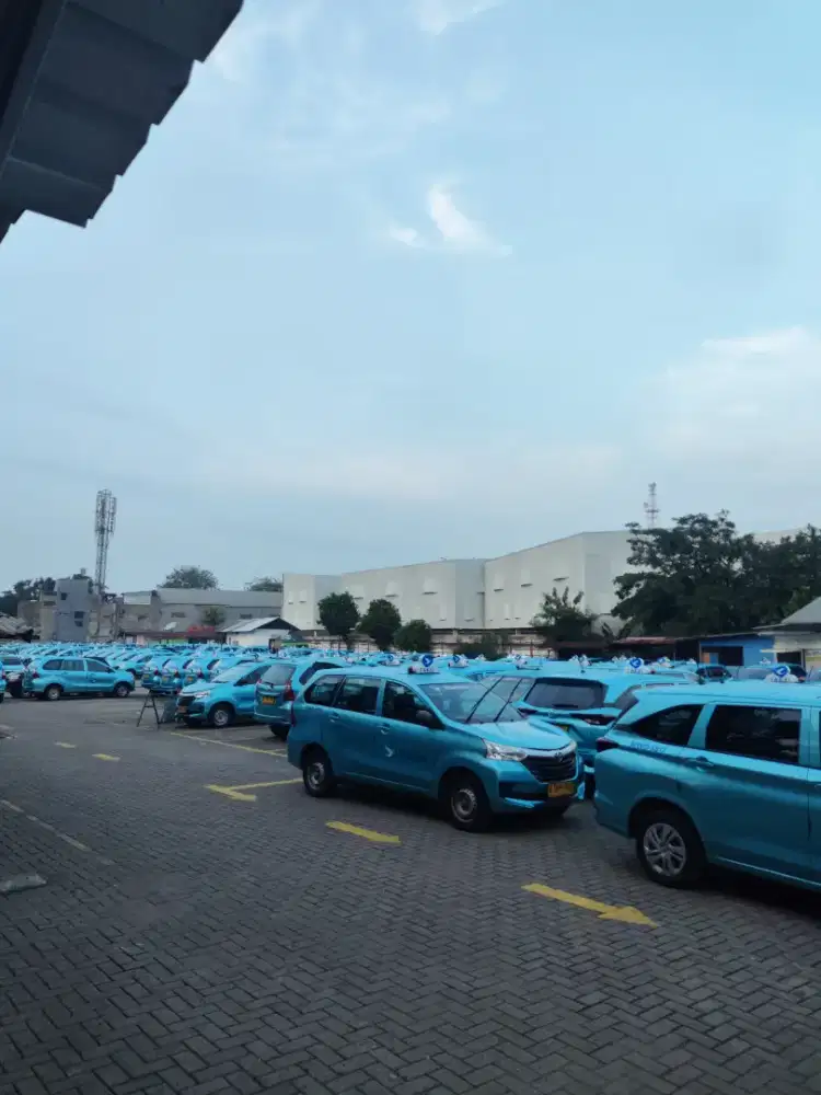 Pengemudi online dan offline, berpengalaman dan non pengalaman