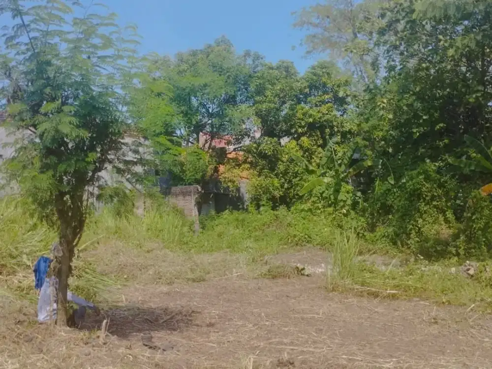 TANAH MADIUN SERAYU DEKAT KAMPUS UNMER COCOK UNTUK INVESTASI