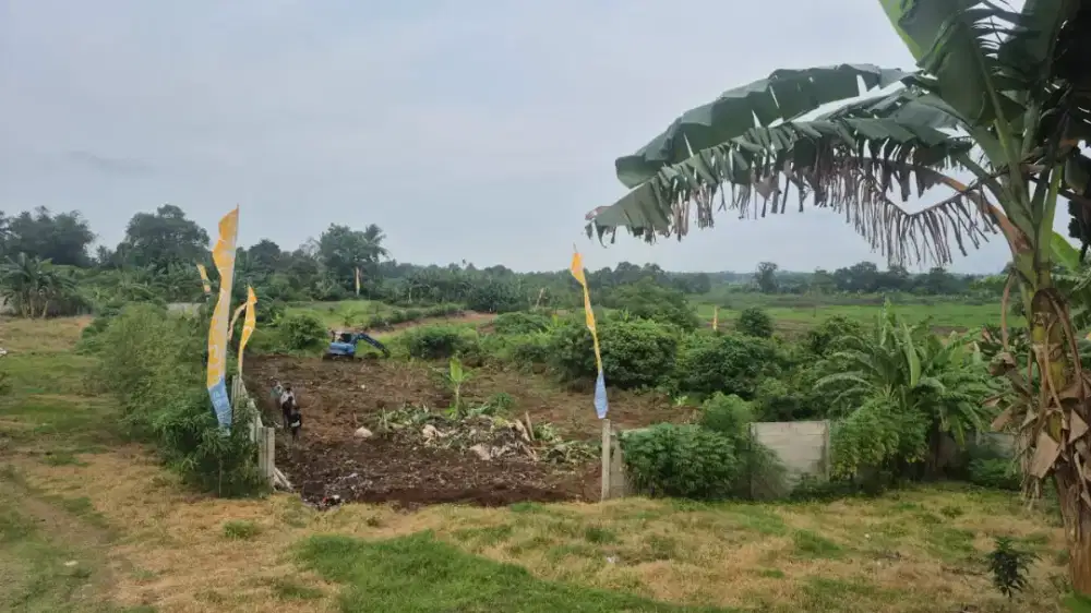 Agent marketing dan freelance