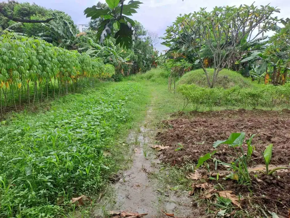 TANAH MURAH 500m² TITIAN KENCANA SUMARECON - BEKASI