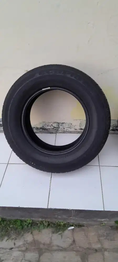 Ban Bridgestone ecopia