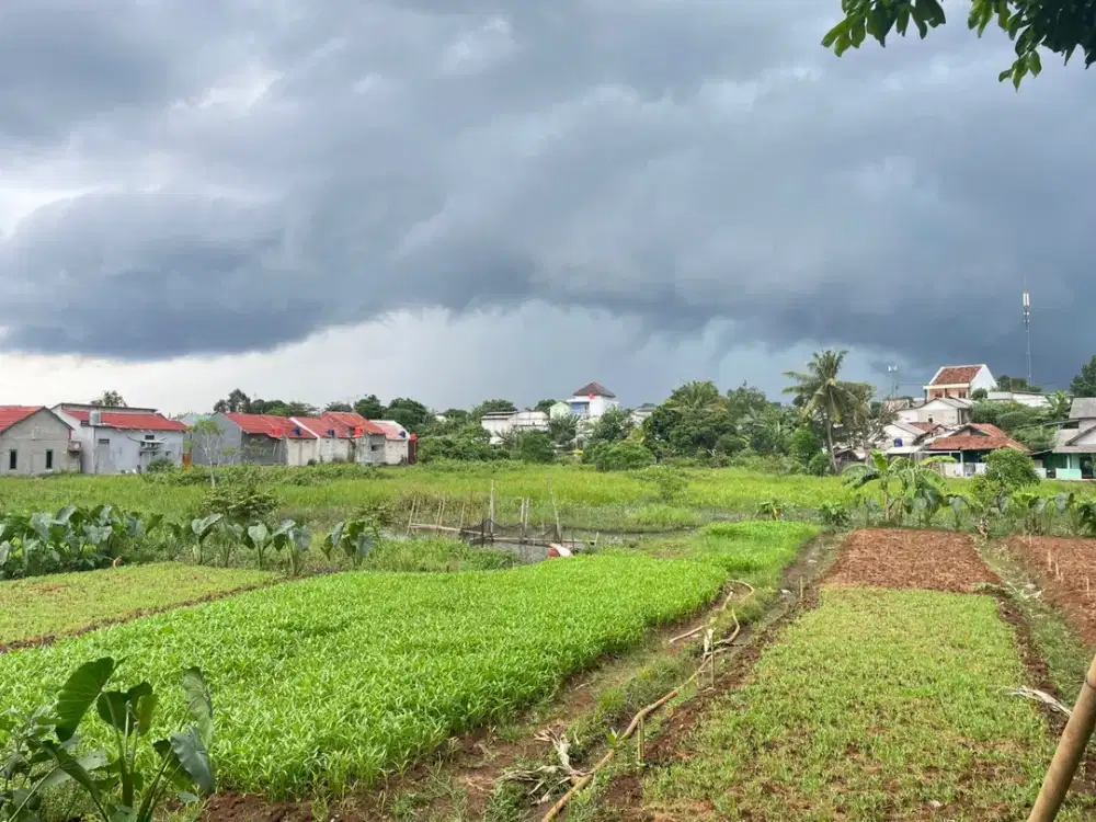 Kavling Tanah strategis 10 Menit Stasiun Cilebut Free SHM