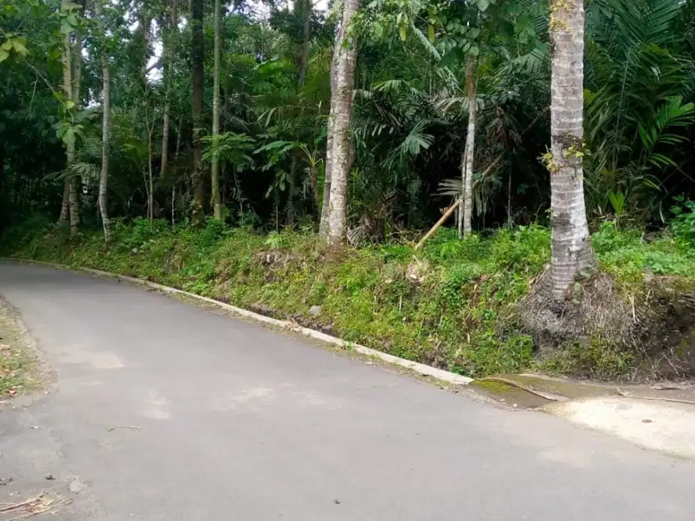 Dijual tanah tegalan argomulyo cangkringan
