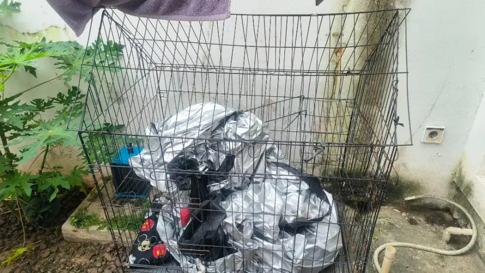 Dijual kandang kucing bekas