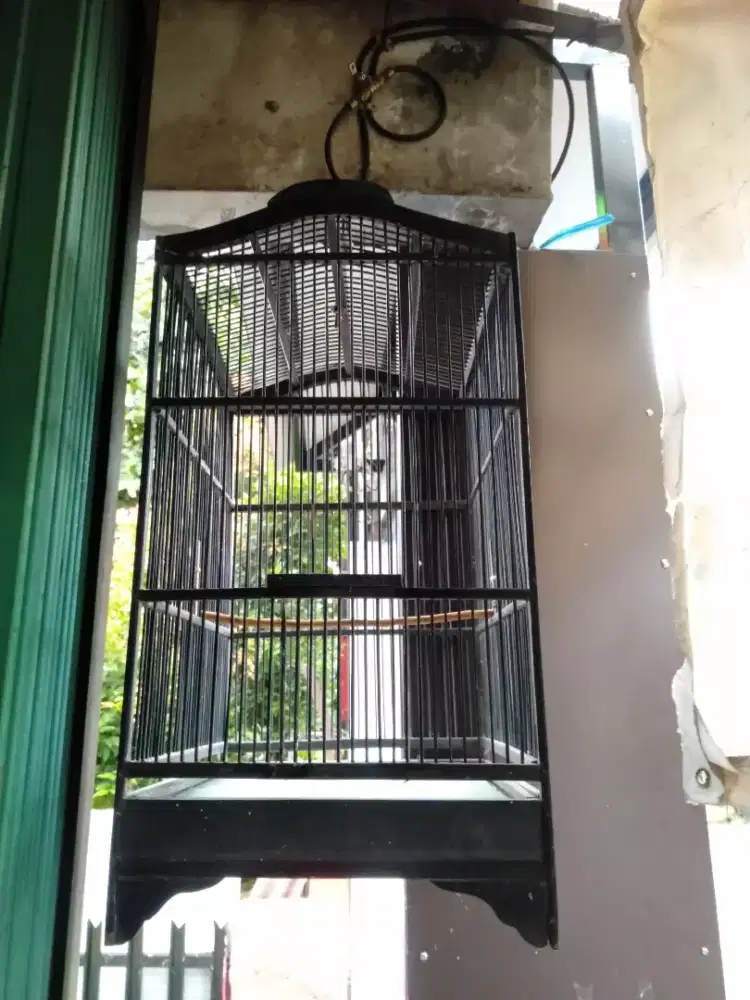 Kandang kayu kotak no 3 keker