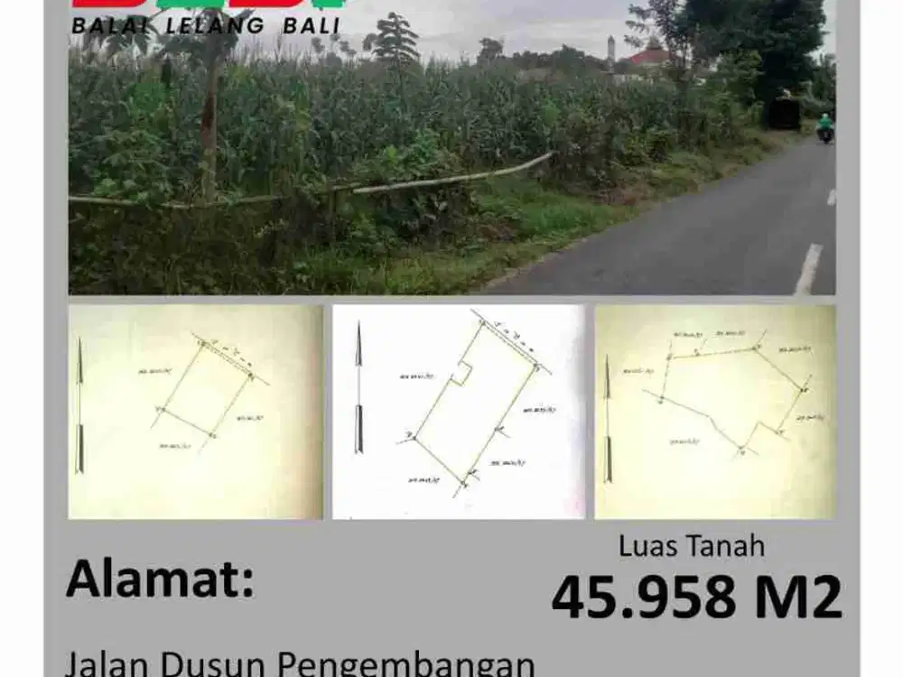 Jual Lelang Tanah Luas 4,5 Hektar Di Maros