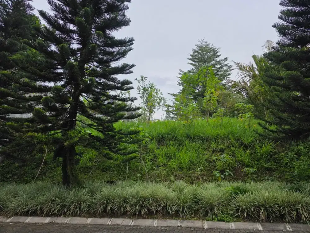 Tanah Exclusive Siap Bangun di Pondok Hijau