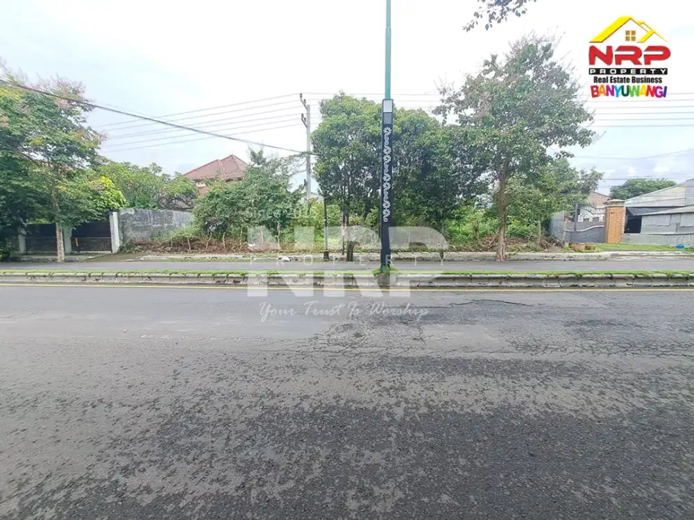 Butuh lahan strategis untuk usaha? Tanah disewakan di Jl. Gajah Mada Banyuwangi