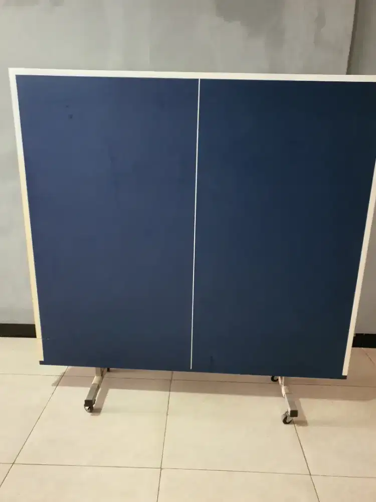 Tennis meja / meja pinpong