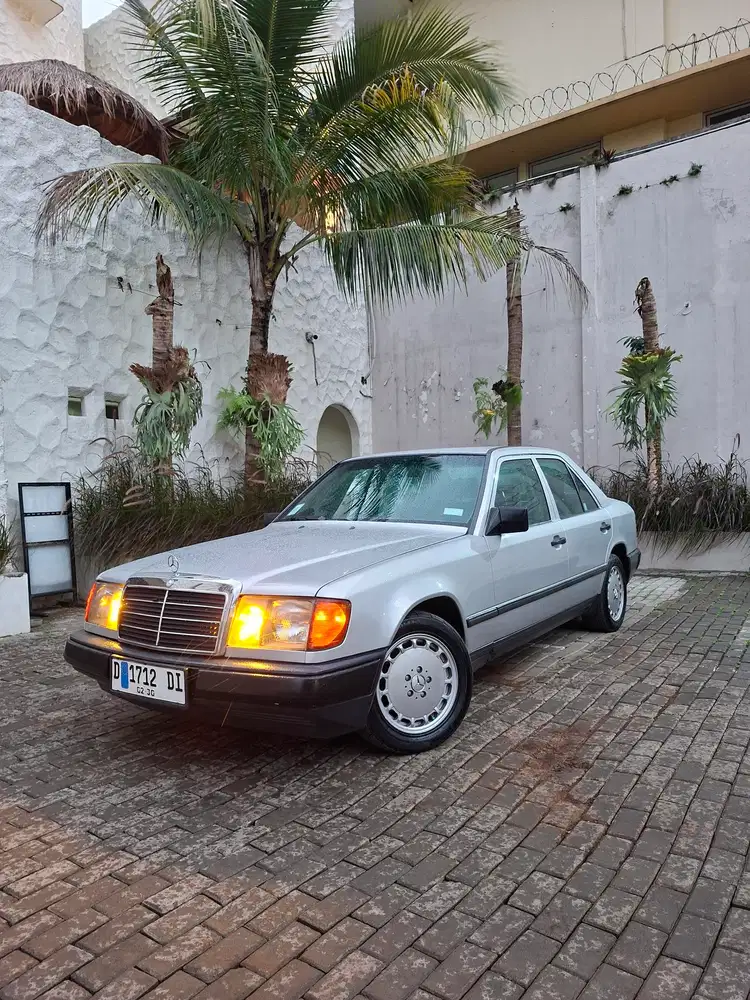 Mercedes-Benz W124 300E 1987 Stripline