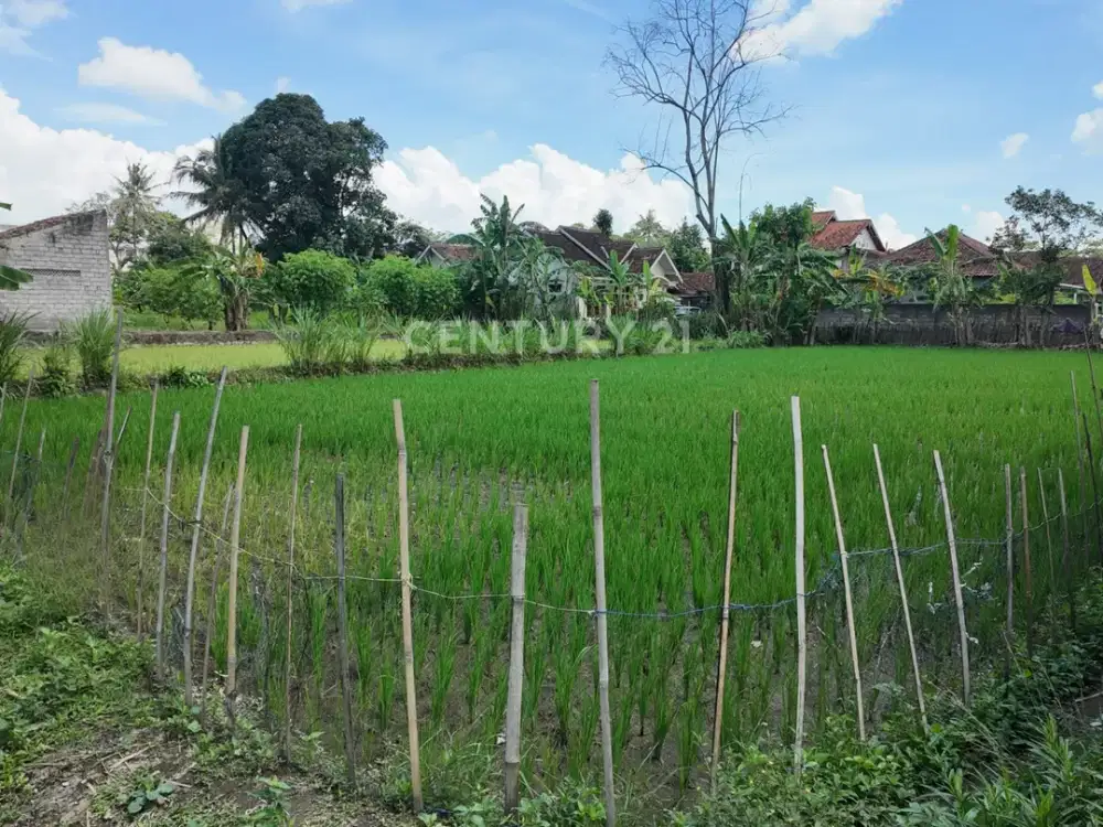 Tanah 646m2 Di Wedomartani Dekat Budi Mulia Dua Untuk Hunian