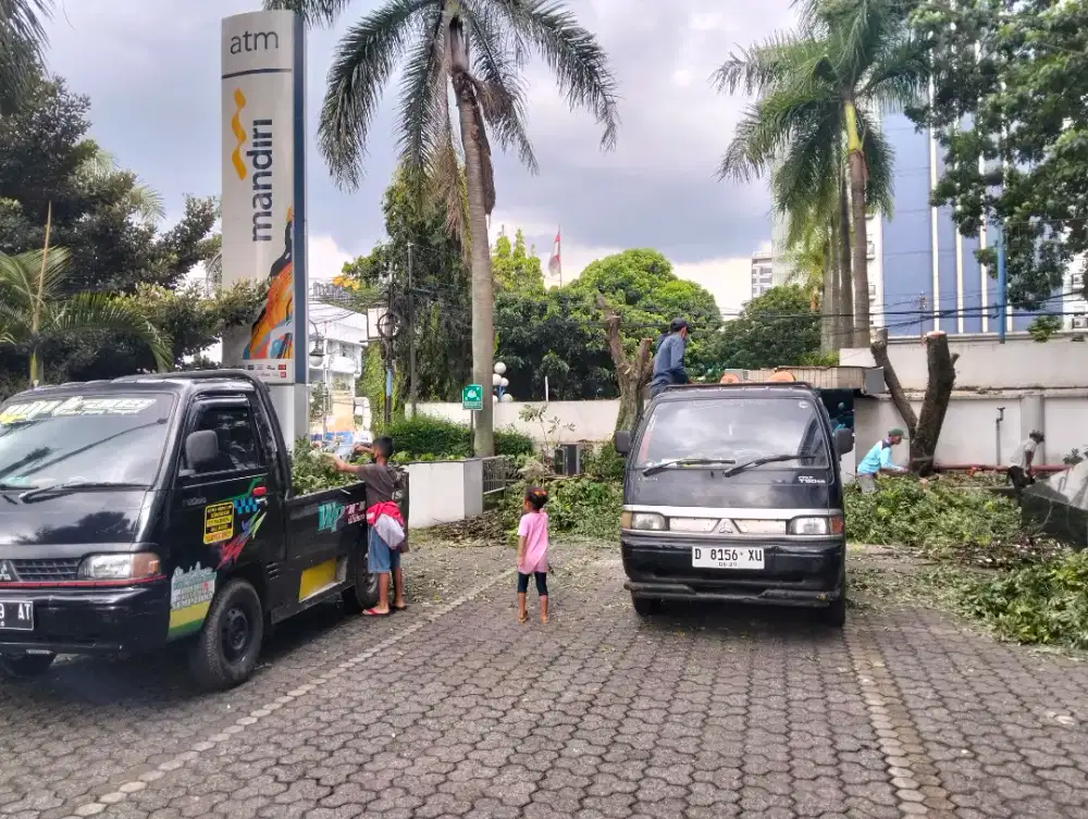 Jasa tebang pohon dan potong rumput