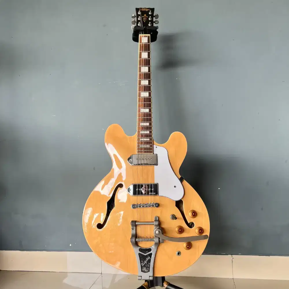 electric guitar Vintage VSA500