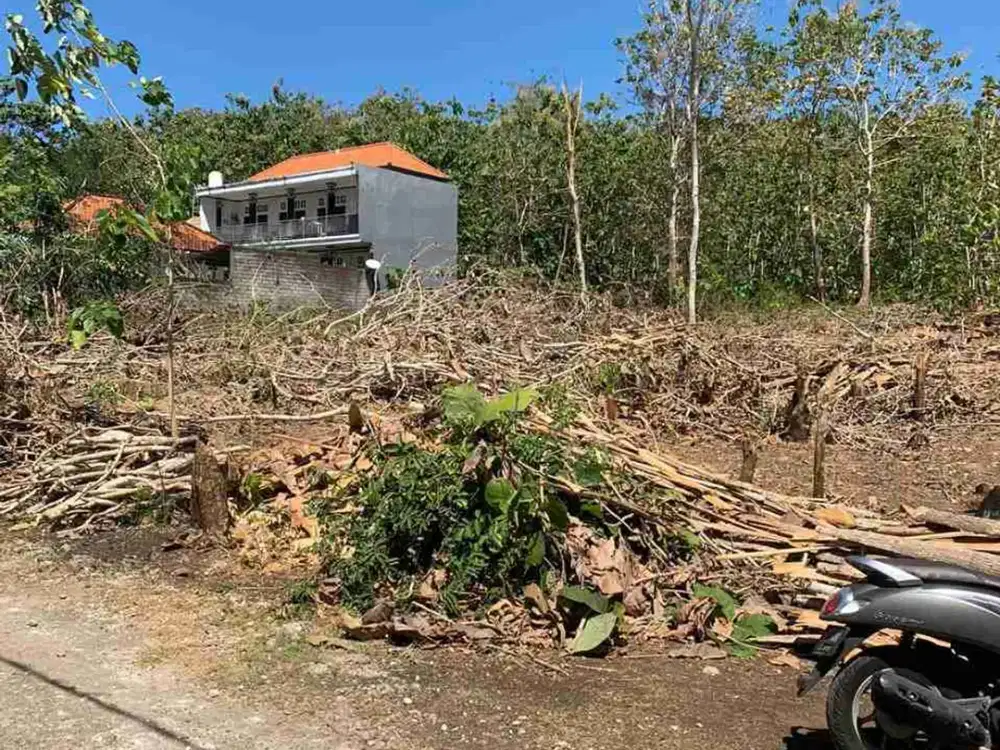 dijual tanah 1260m² IDR 375 juta per are dekat Coco Mart purigading jimbaran Kuta Selatan Badung Bali