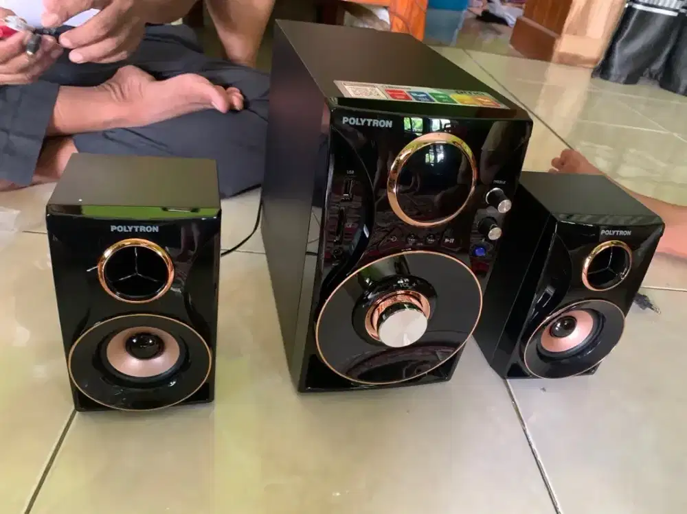 POLYTRON MULTIMEDIA AUDIO SPEAKER PORTABLE