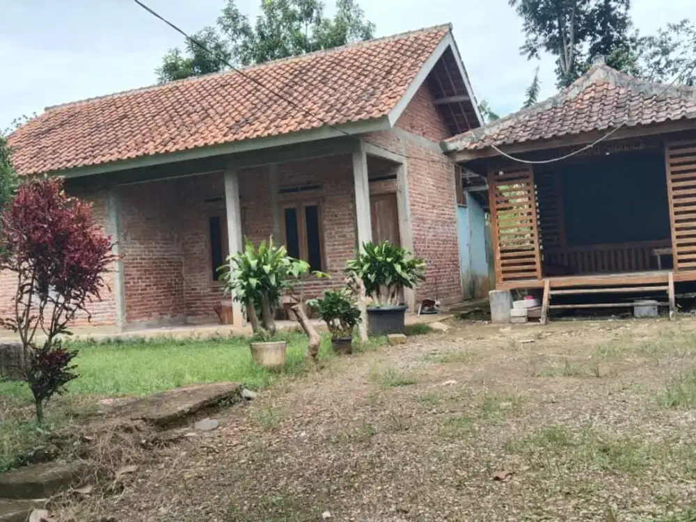Rumah Villa LT 1650 M Ada Pohon Duren Sudah Ada Gajebo Tenang