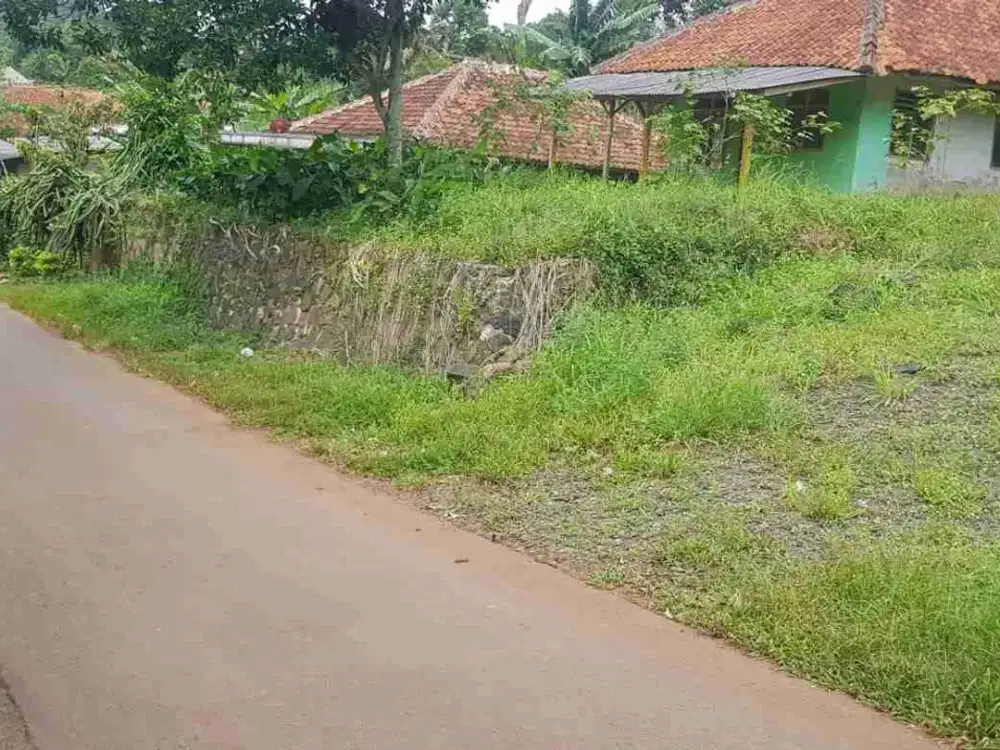 Dijual Rumah & kebun durian 3750 m2