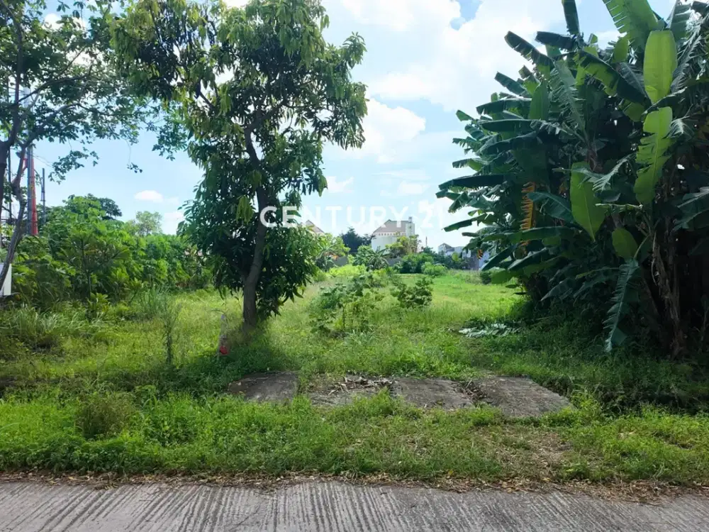 Tanah Sawah 1064m2 Di Maguwoharjo Dekat Kampus 3 Sanata Dharma