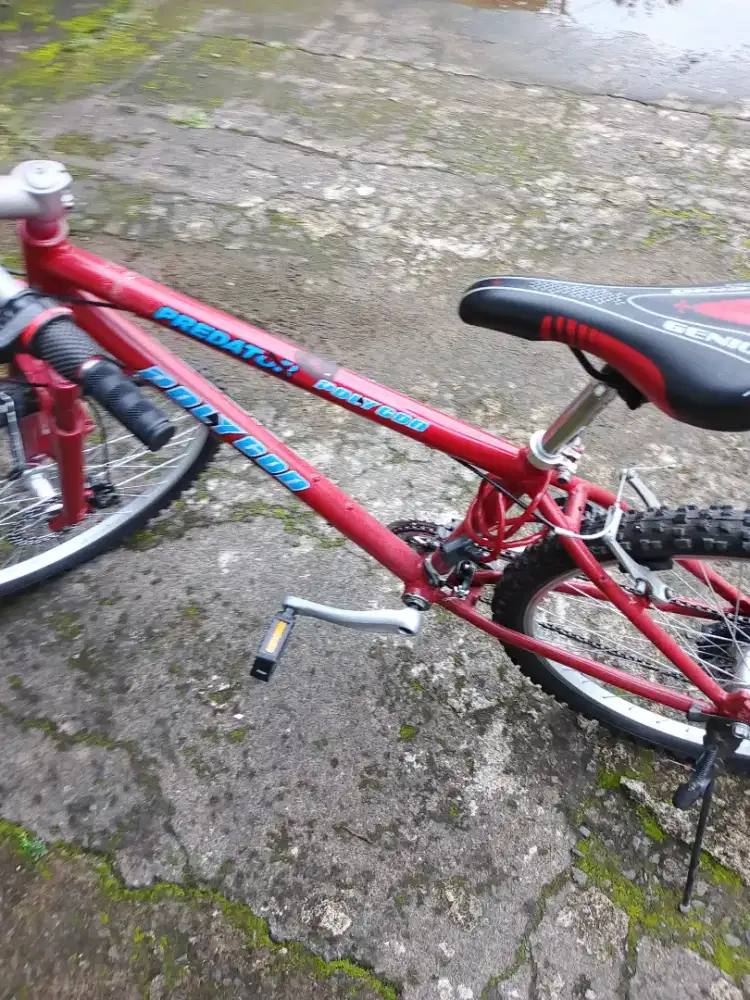 Di jual sepeda polygod 2025