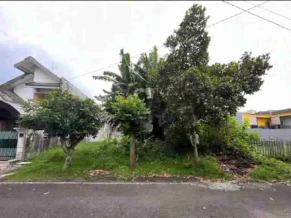 Tanah Luas 375 Jl Teluk Etna Arjosari