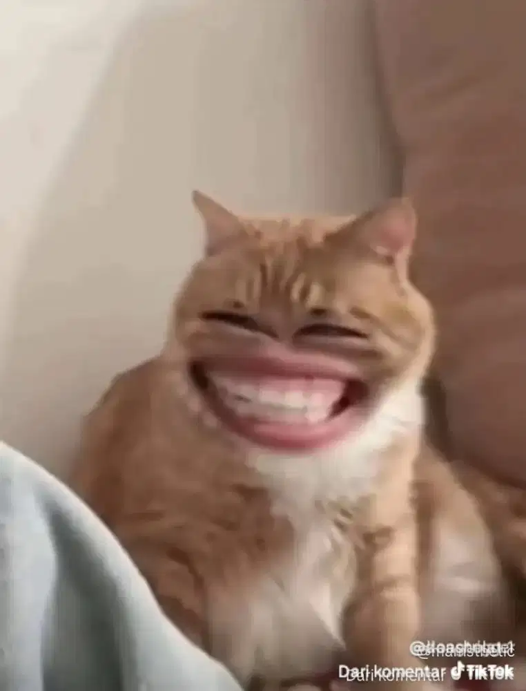 Loker pengasuh sabtu&minggu