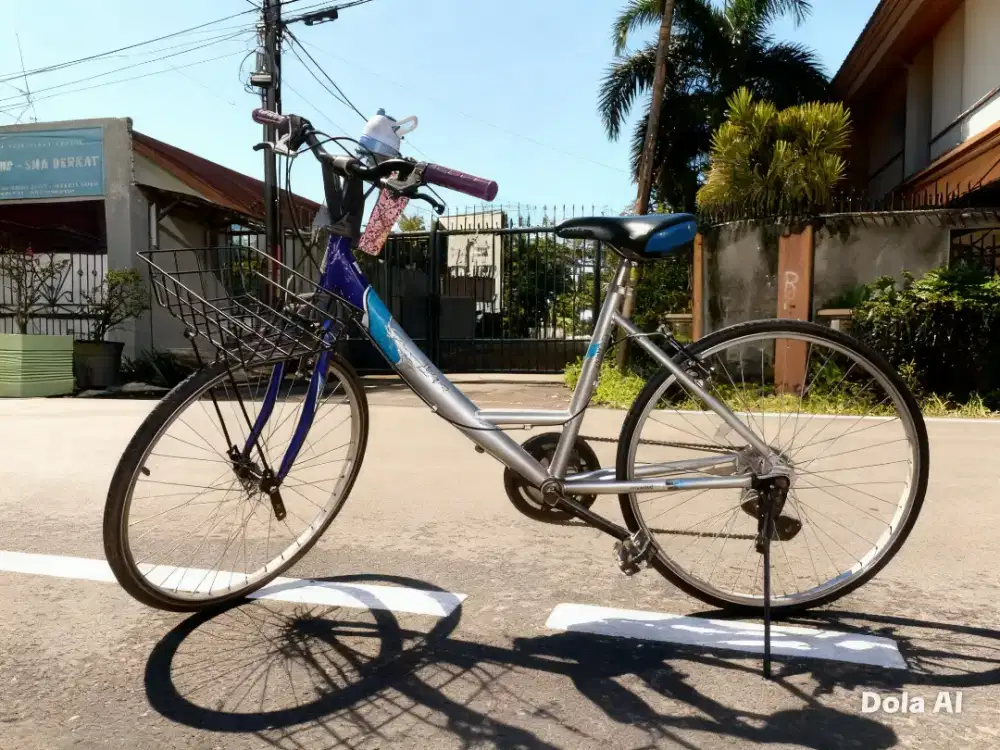 Sepeda Dewasa, wanita dan pria. Remaja, anak anak