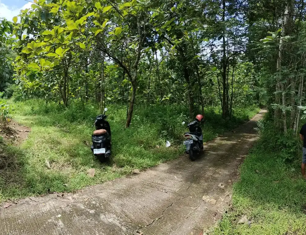 Jual Tanah Gaum Karanganyar