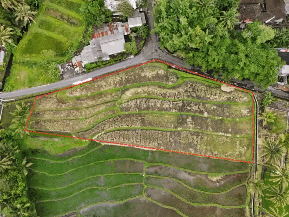 Tanah Sawah Dengan LD 150m Di Sleman Utara Dekat Pasar Pakem