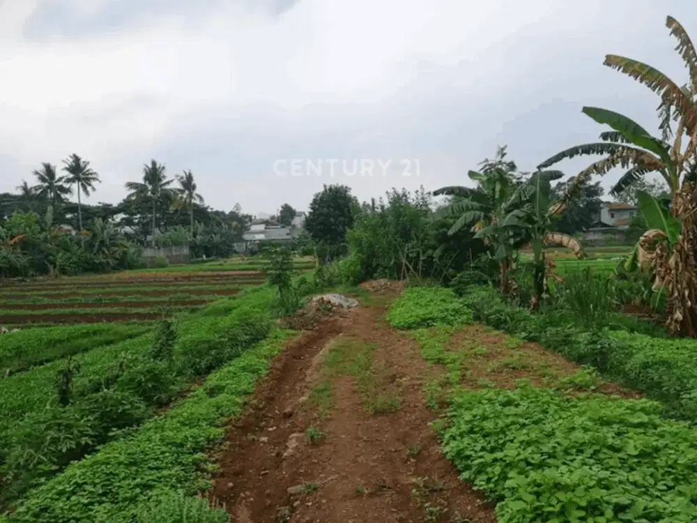 Dijual Tanah Komersil 50 Di Bawah NJOP Di TB Simatupang