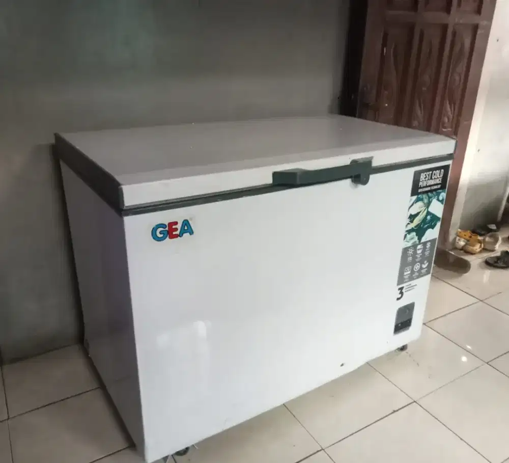 Frezzer gea 300L
