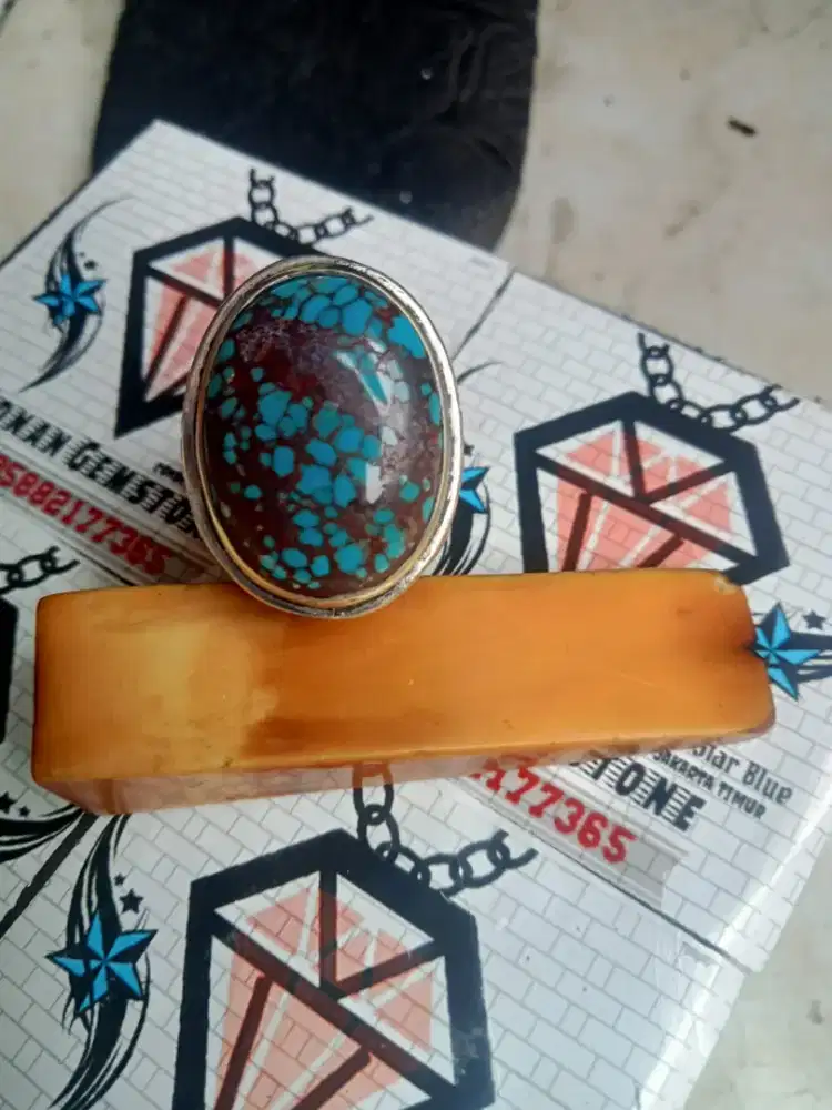 Pirus mesir urat merah