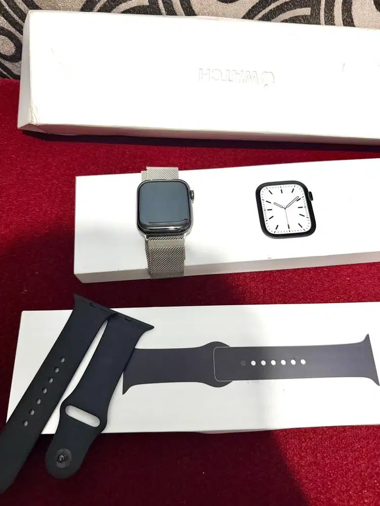 Stainless steel Apple Watch 7 45 mm