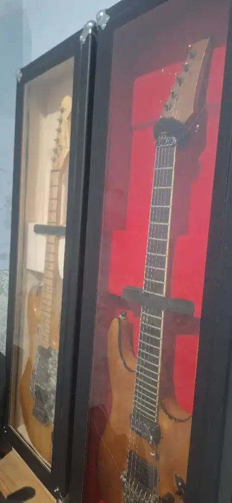 Show Case Box Guitar & Bass