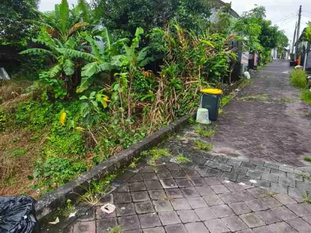 Tnh 3are loss sungai view rice field buduk dkt tumbak bayuh itr kuning