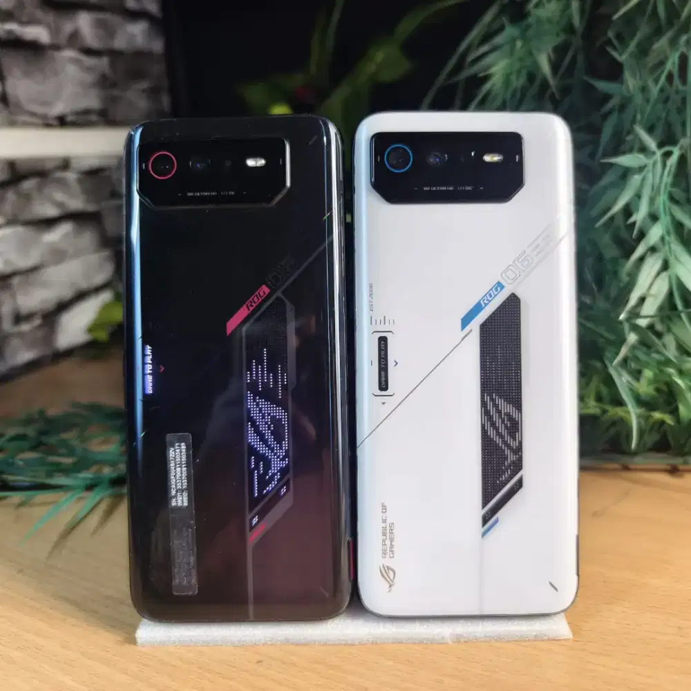 ASUS ROG 6 Series Ram 8/256 GB Batangan