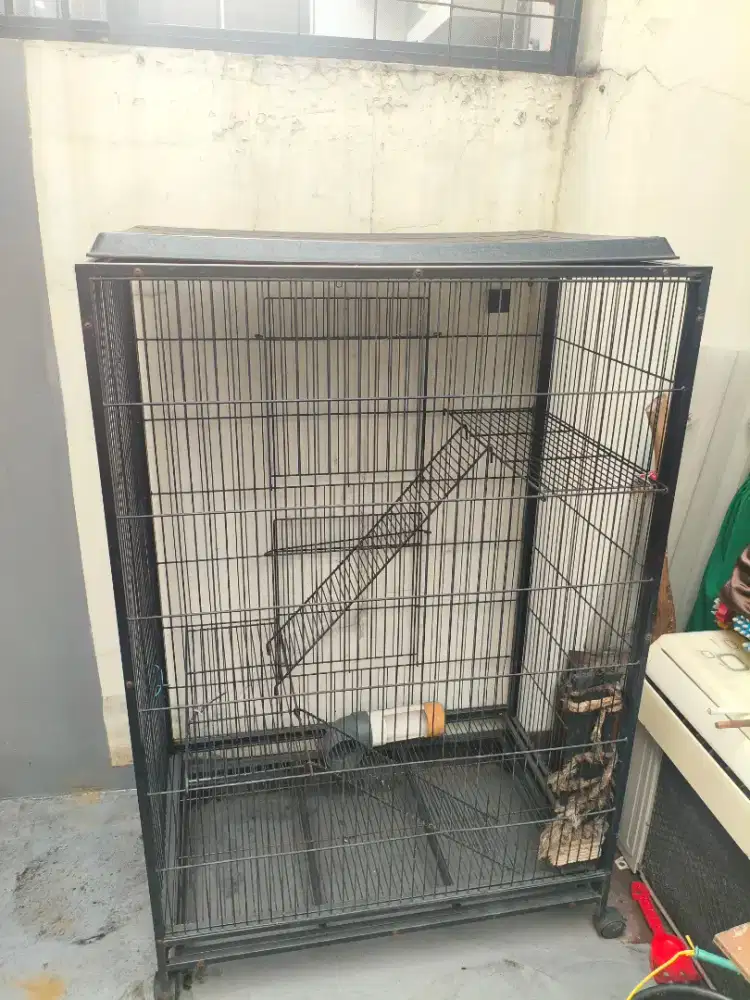 Kandang Kucing Jumbo