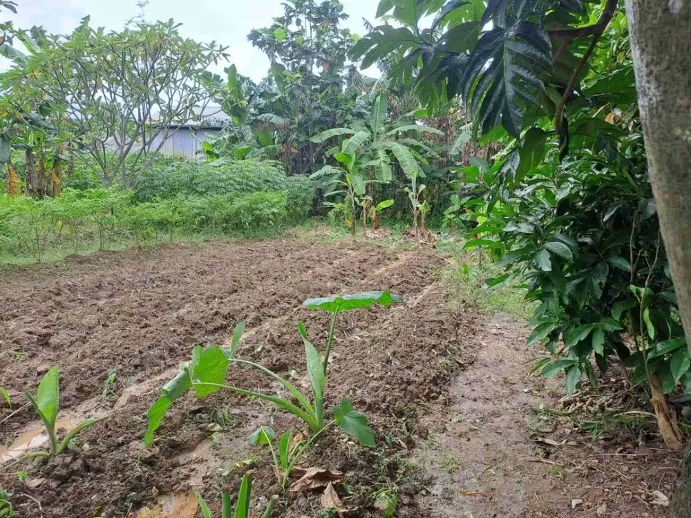 Dijual Tanah Lokasi Dekat Summarecon Bekasi