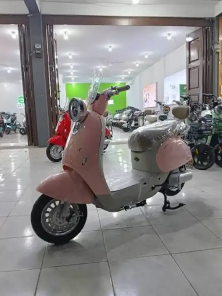 Sepeda Listrik Selis Seige Baru New