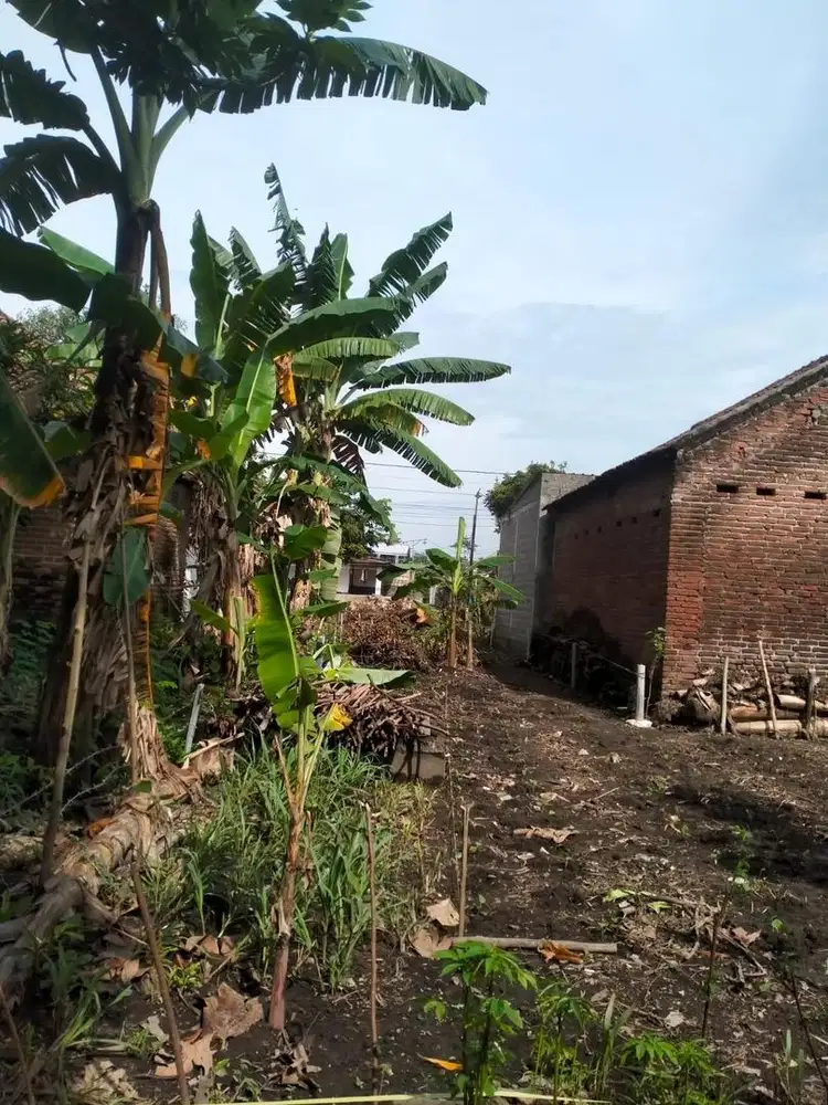 Jual tanah pekarangan