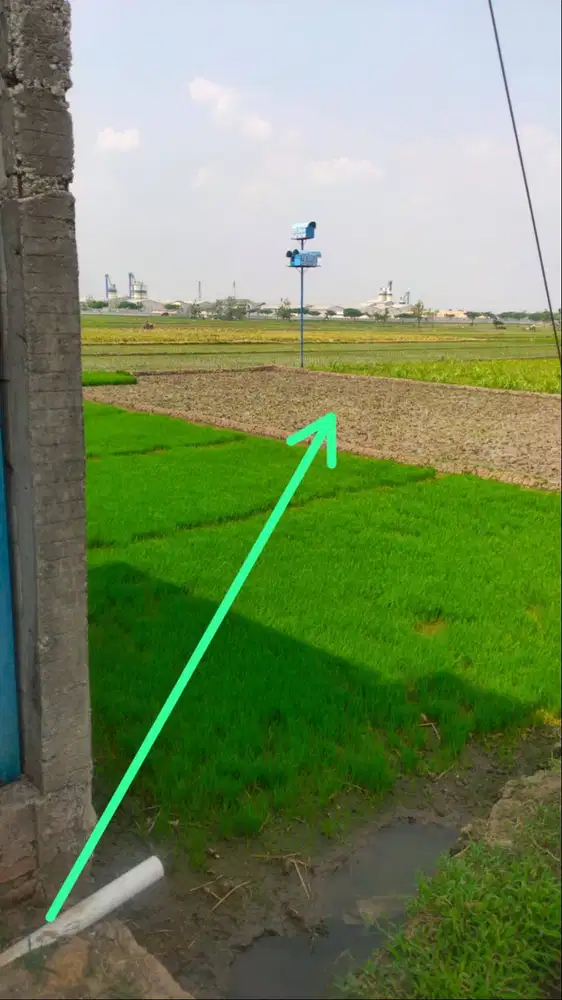 Dijual Tanah Pekarangan