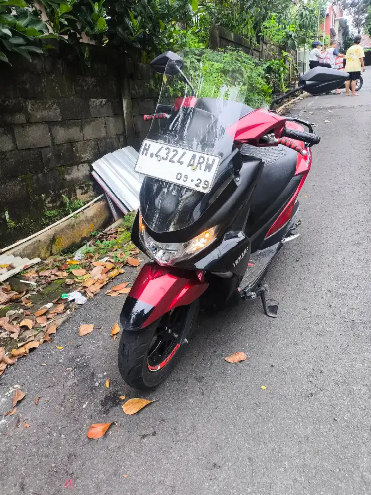 Freego 2019 model touring