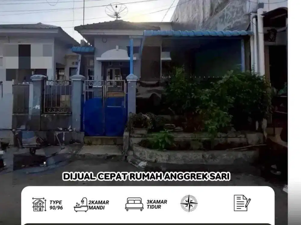 dijual  anggrek sari