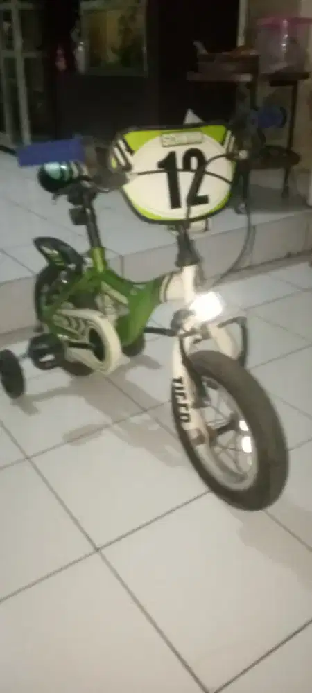 Sepeda Anak Schwinn Import