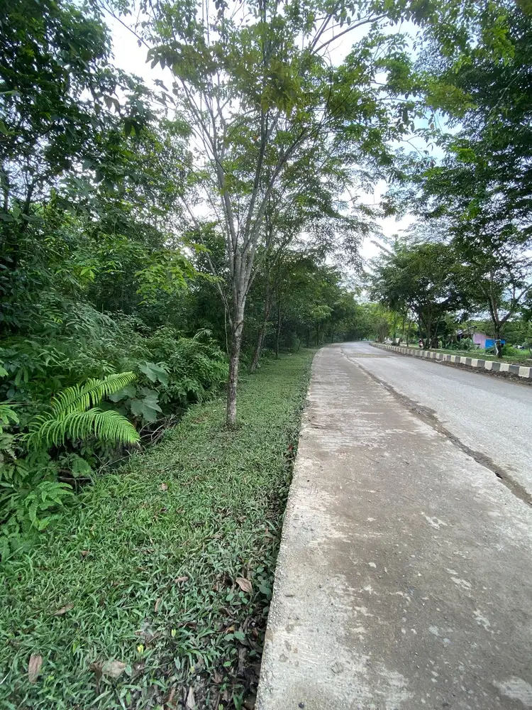 Tanah dijual di kecamatan murung pudak, harga bisa di negosiasi.