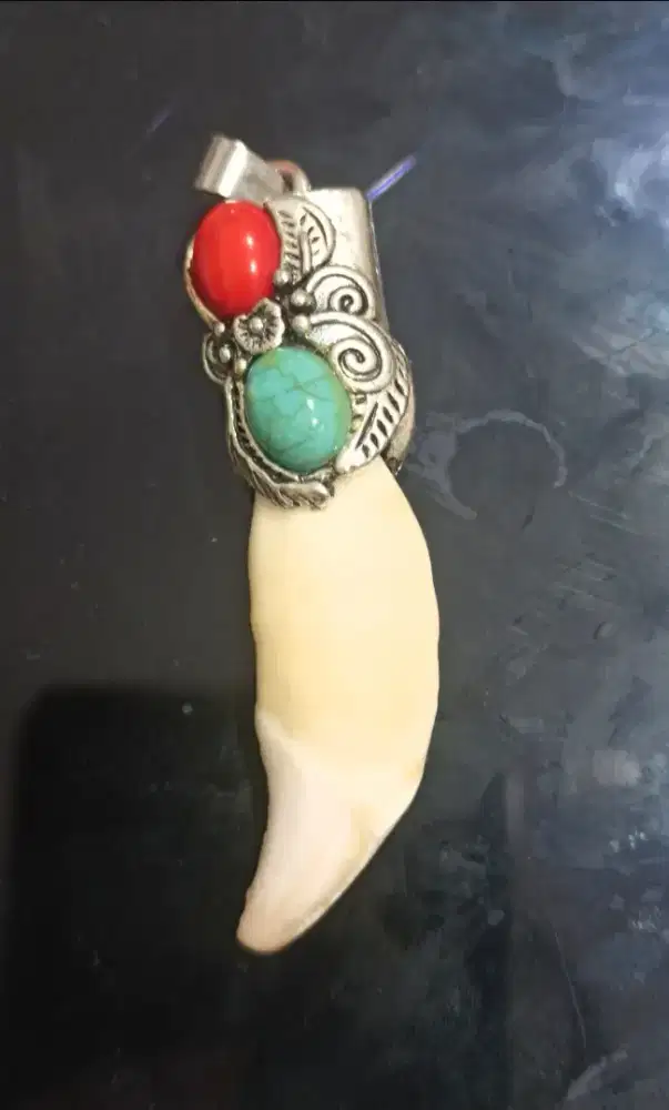 Liontin Natural Taring