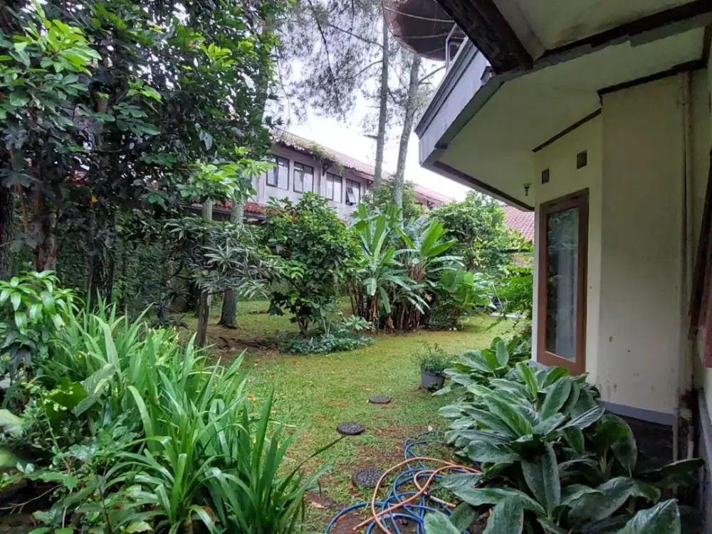 Rumah Asri Luas Strategis di Sayap Sudirman