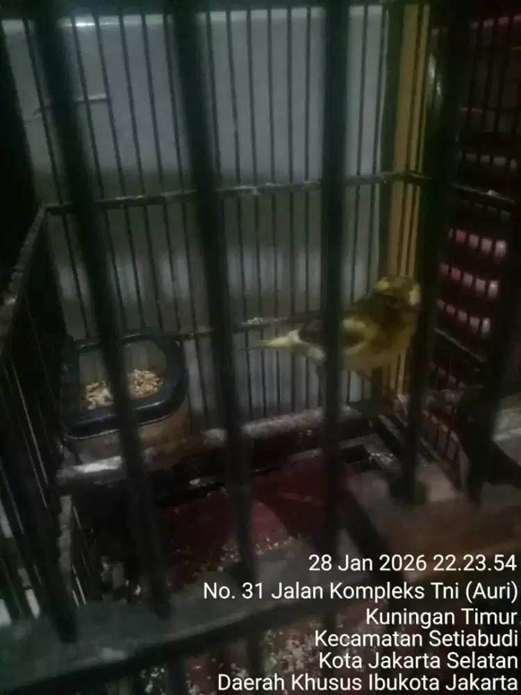 JUAL SANTAI SAMBIL SELUPUT KOPI