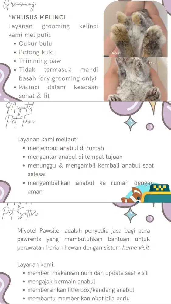 Jasa Pet Hotel, Pet Sitter, Pet Taxi, Grooming Kelinci