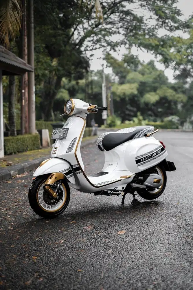 PRIMAVERA IGET 2017 LOOKS DIOR